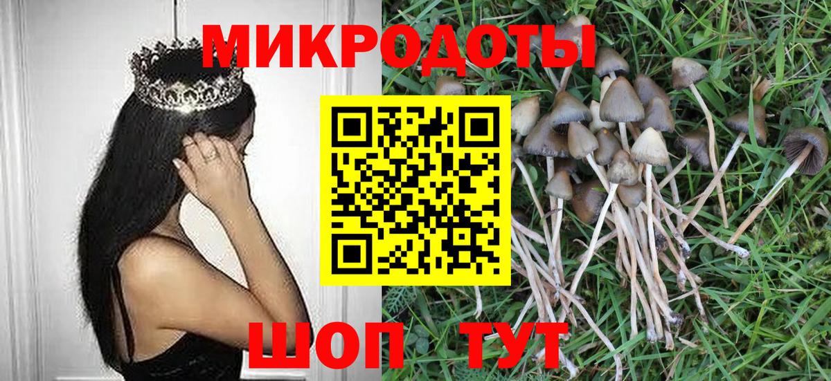 Галлюциногенные грибы GOLDEN TEACHER Ржев