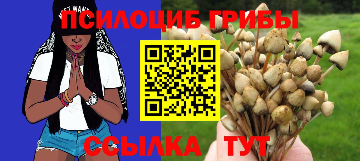 Ржев  Галлюциногенные грибы мицелий  Вход с VPN 